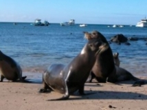 Galápagos, por sexto año consecutivo, Mejor Destino Turístico